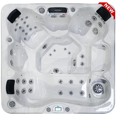 Avalon-X EC-849LX hot tubs for sale in Brunswick